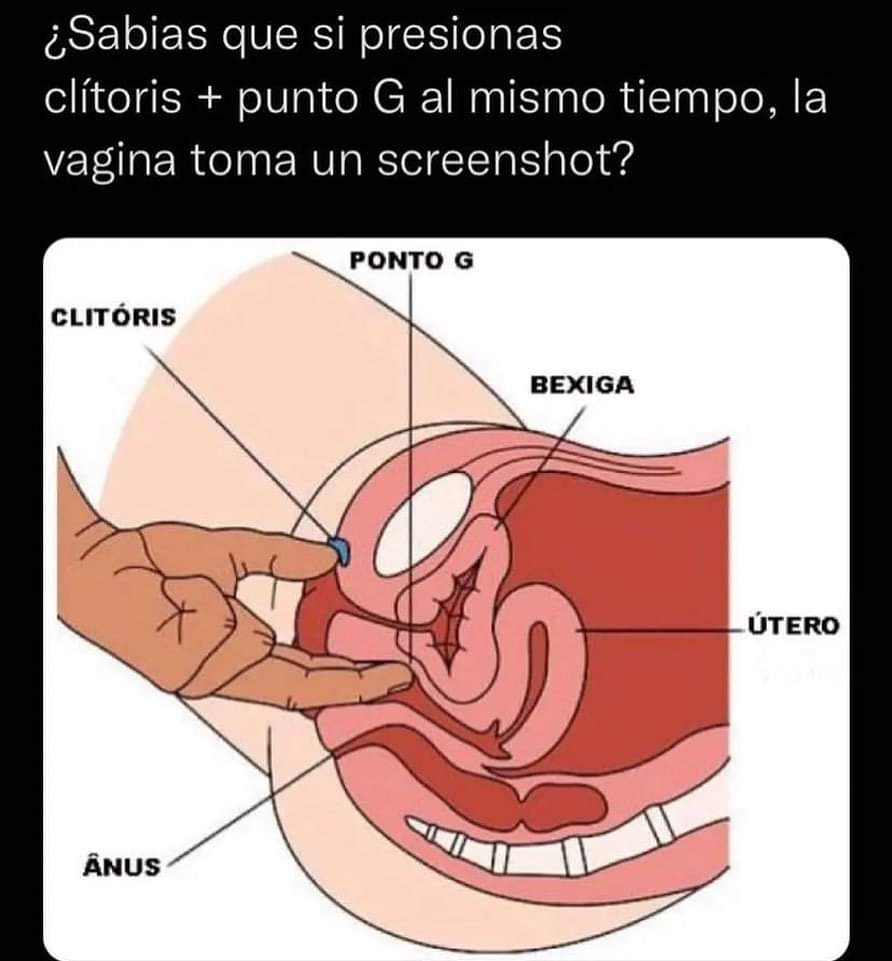 Éste consejo doy porque tu amigo Flipy soy 😉