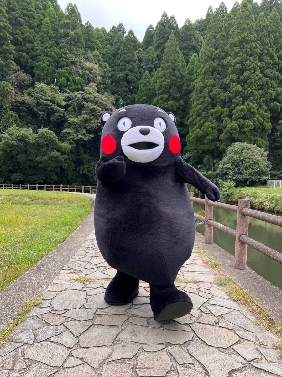 kuma🐻❄️🐚 (@oldkumasan1) / Twitter kuma🐻❄️🐚 (@oldkumasan1) / Twitter