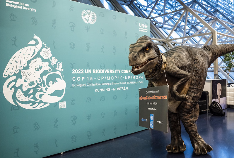 UNBiodiversity's tweet photo. Some highlights from #COP15, December 12 2022 🌿

1: @frankiethedino from @UNDP🦖
2: @mremae at the Business and Biodiversity Forum 
3: @s_guilbeault @environnementca @environmentca
4: @ICLEI 7th Summit for Subnational Governments &amp; Cities

More pictures📸:https://t.co/sfXBq3pjXr https://t.co/4mYw84WXUf