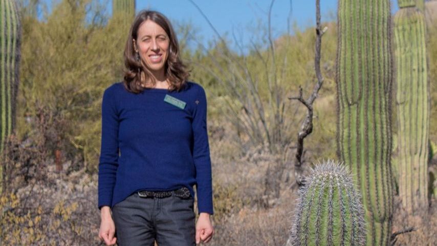 Sonoran Desert: A Hotspot for Bees -- Join Kim Franklin, scientist with the Arizona-Sonora Desert Museum, on a tour of the incredible assortment of bees at our next online Virtual Happy Hour - this Friday, December 16th at 4pm.  Email smcdonald@alwt.org for registration link.
