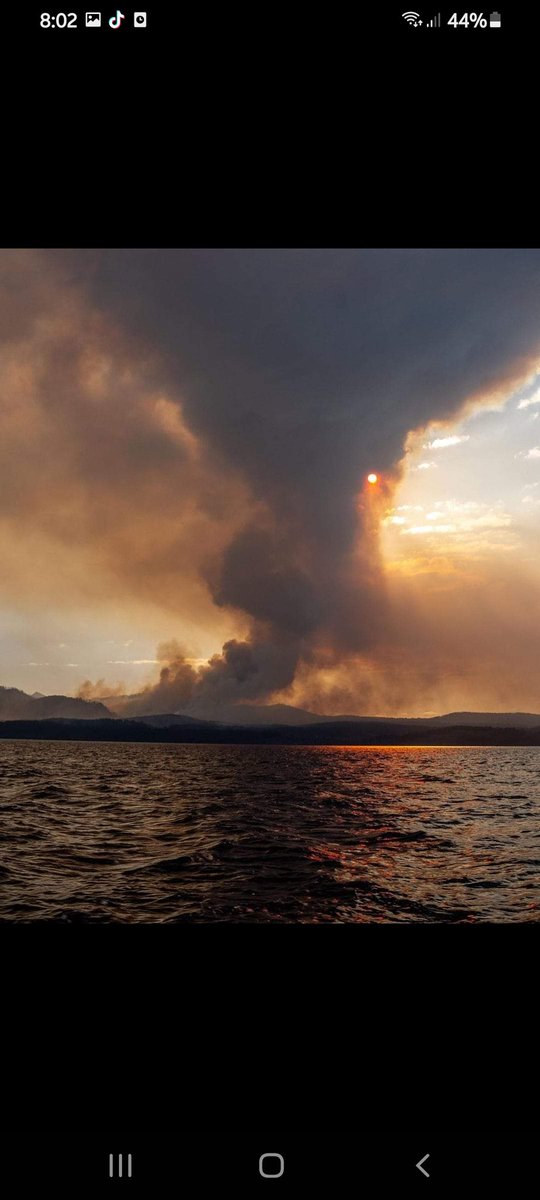 Ro_mimica's tweet photo. Se está quemando nuestra isla y al estado le importa un carajo. El 30 de noviembre empezó el fuego y hasta el día de hoy sigue y va a empeorando. Ya van quemándose más de 9mil hectáreas. #ArdeTierradelFuego #Incendio #Incedioforestal #tolhuinenllamas https://t.co/hDrcCGRAaw