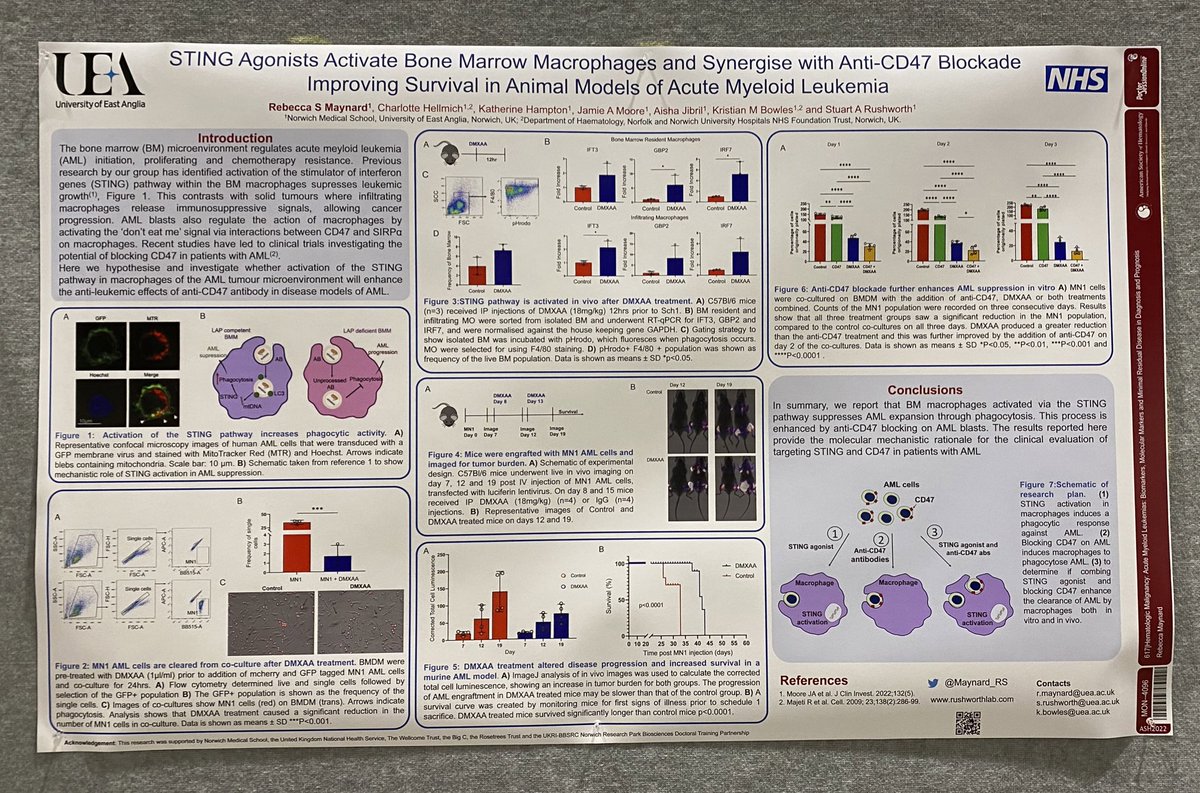 Rebecca Maynard tweet media