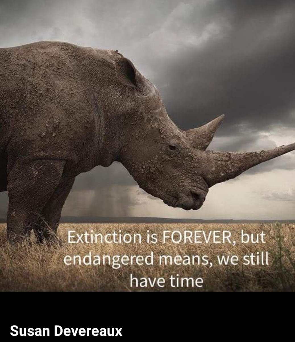 SAVE THE ENDANGERED
SPECIES...

We Have Still Time to Protect the Endangered Species on the Earth, which are Struggling at the Verge of Extinction, If We Have Conservation Consciousness.
        
             GREEN MERCY