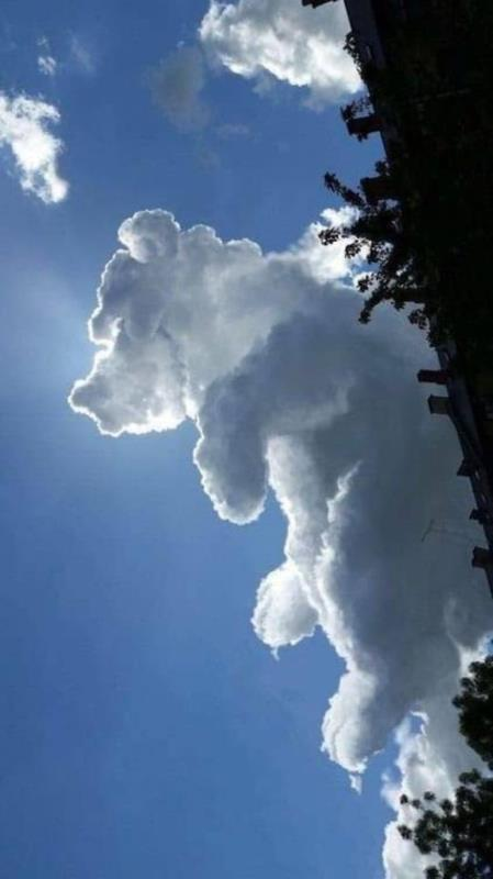 Mayhem4Markets's tweet image. It's a bear cumulus cloud formation. An ominous omen that means we're heading to negative infinity.
