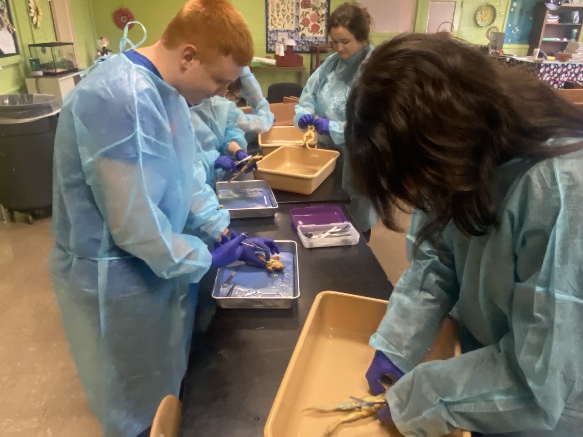 Jessica Knight tweet media