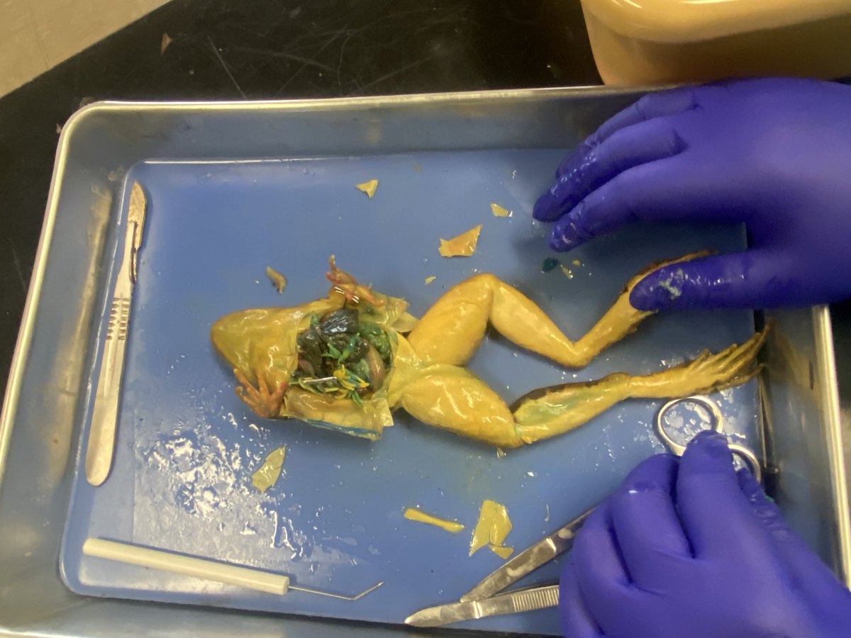 Jessica Knight tweet media