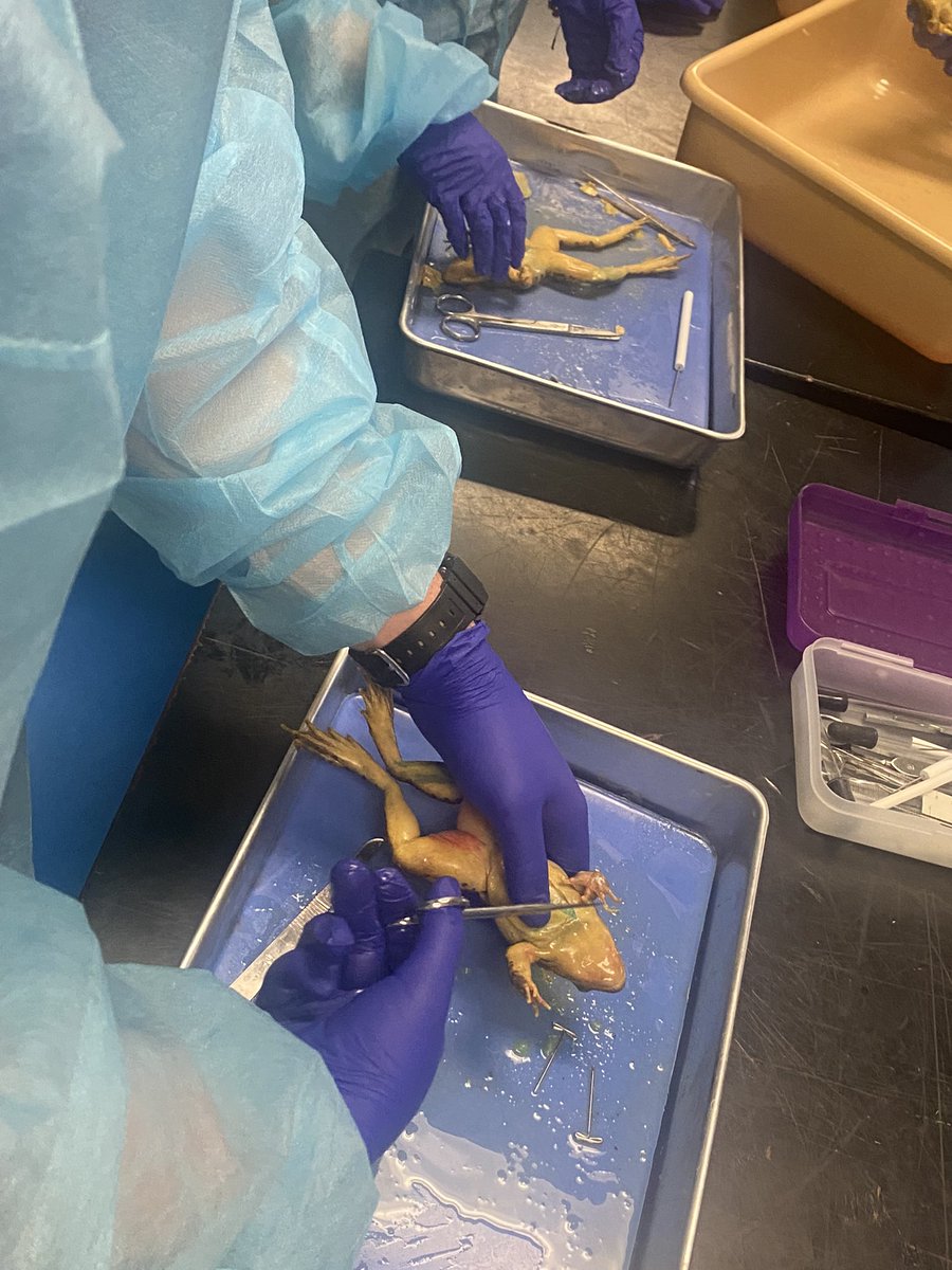 Jessica Knight tweet media