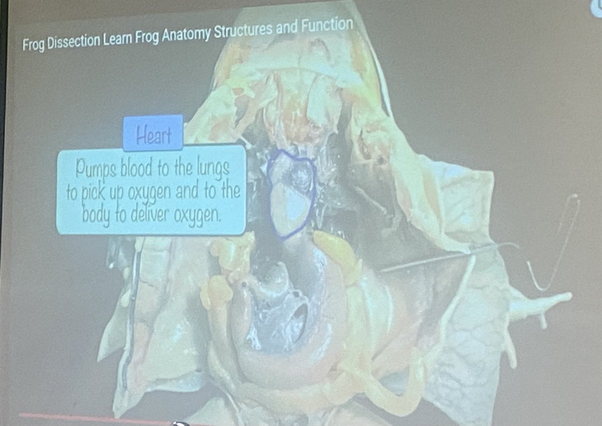 Jessica Knight tweet media