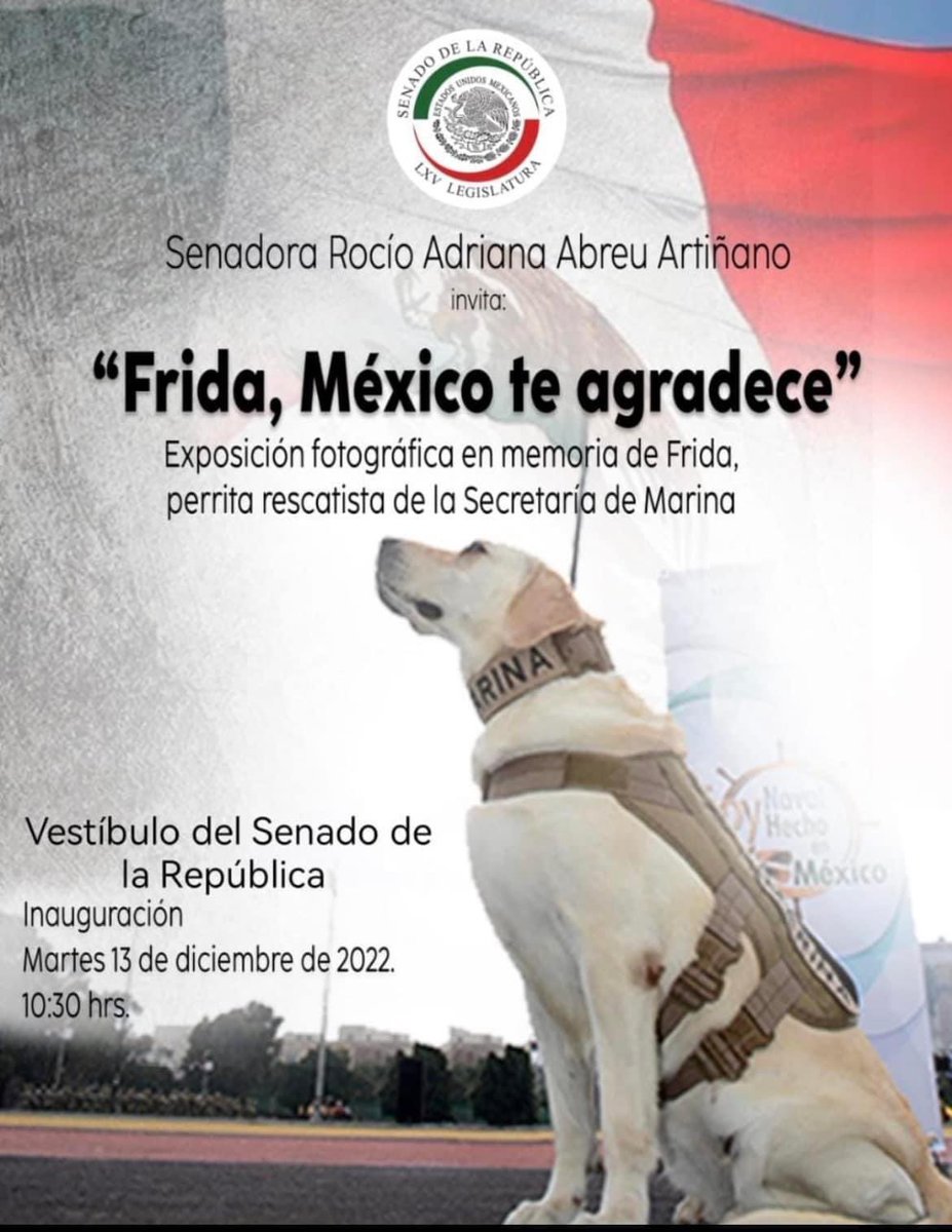 RocioAbreuA's tweet photo. Te invitamos mañana a acompañarnos a reconocer a una querida Heroica Mexicana  🐶FRIDA! https://t.co/xR5zpzVowt