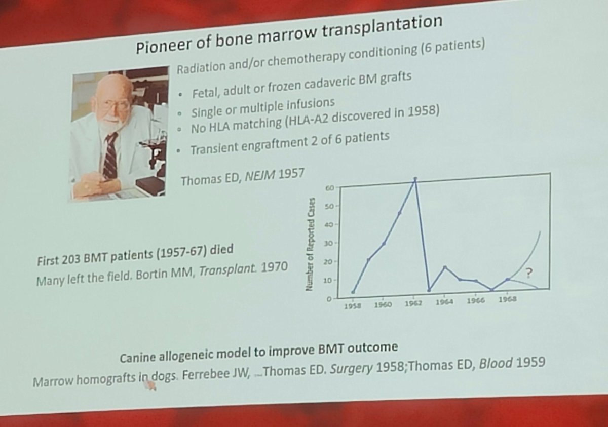 chepsyphilip's tweet photo. #ASH22 #fantASHtic
So overwhelming to recognise the efforts those ahead of us have taken to establish the progress we are reaping today across the globe https://t.co/4xpQYYEO9n