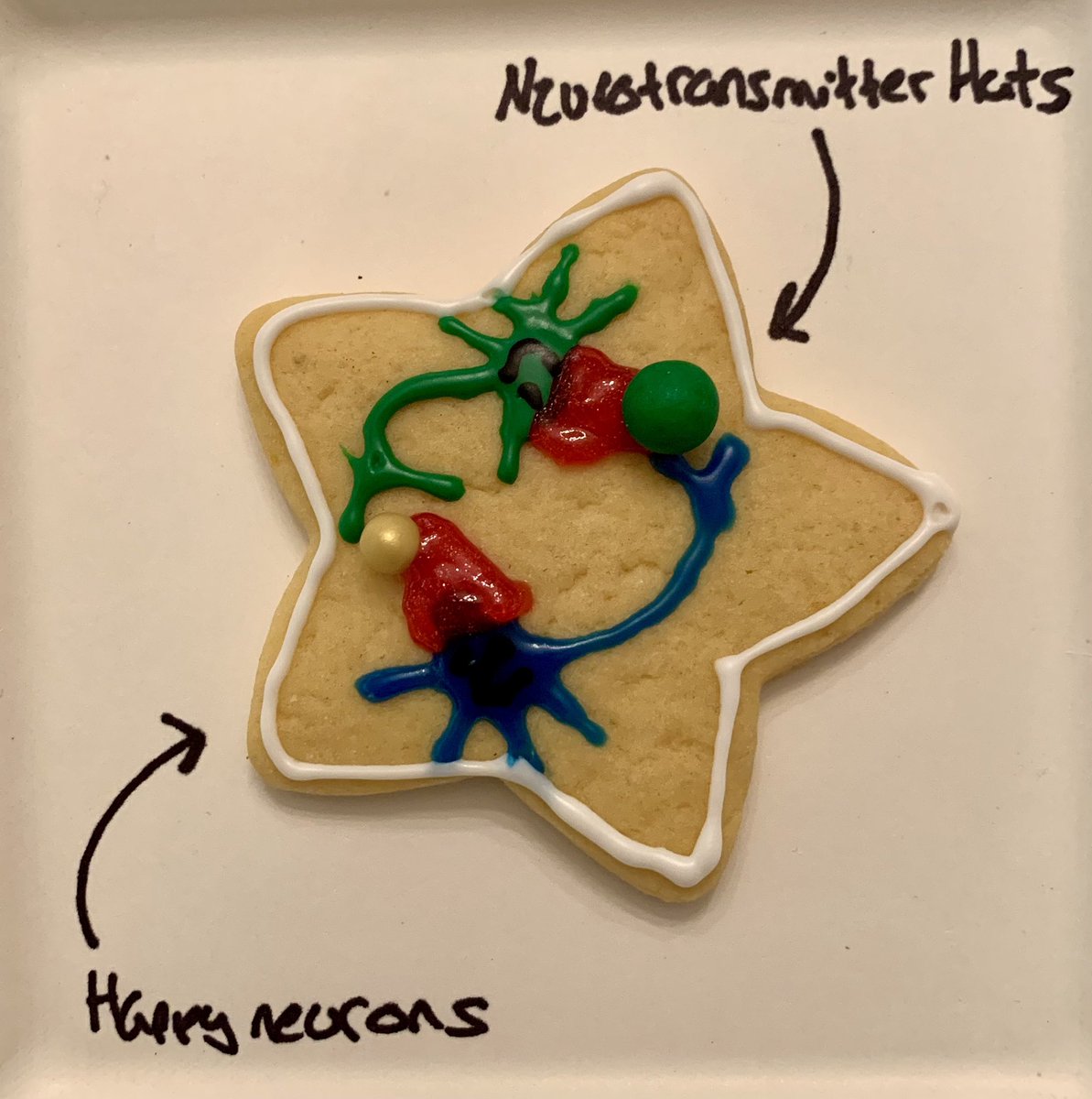 _hcsmith's tweet photo. Deeply satisfied by my @gwsobs holiday party award-winning nerd cookies 🧠 https://t.co/nnl8V7ETpA