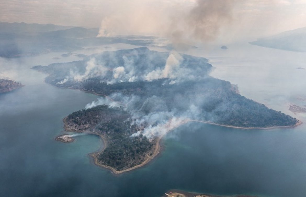 _lopezta's tweet photo. el 30/11 inició el incendio en la reserva corazon de la isla (tolhuin); el fuego ya arrasó más de 12 mil hectáreas, no hay avión hidrante, no hay ayuda nacional, solo brigadistas + vecinos poniéndole el cuerpo. @juancabandie RENUNCIA

#ArdeTierradelFuego https://t.co/JB01EYLUwj