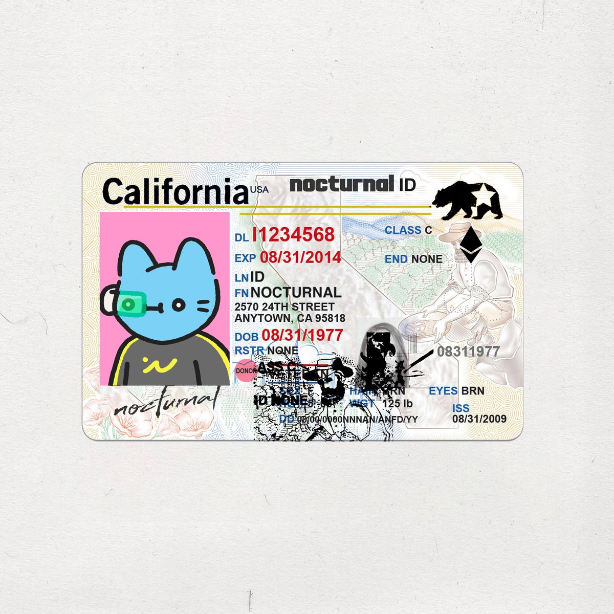 Nocturnal ID tweet media