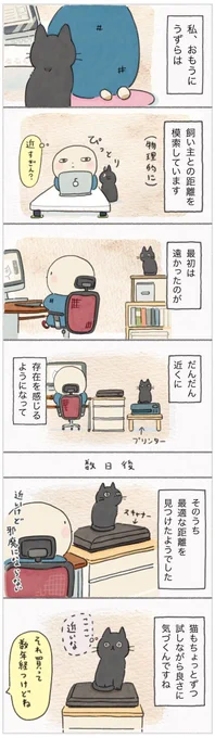 ベスト観測ポイントはどこ? 模索した結果、魅力的な監視場所を新たに発見した猫【連載】ねこ連れ草 256話め|ねこのきもちWEB MAGAZINE https://t.co/9sWveOnYBJ 