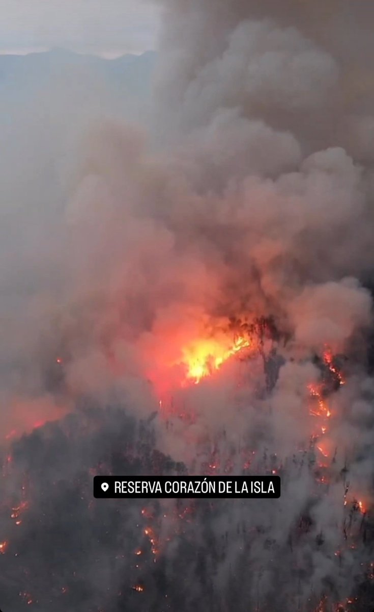 Eze7Jara's tweet photo. Hace casi 2 semanas empezó a arder Tierra Del Fuego. Van más de 11k hectáreas quemadas. El estado esta ausente y necesitamos que el resto del país sepa para que el estado actúe. Haciendo RT/MG ayudas mucho 🙏 #ArdeTierraDelFuego https://t.co/vvoCUVQYMx