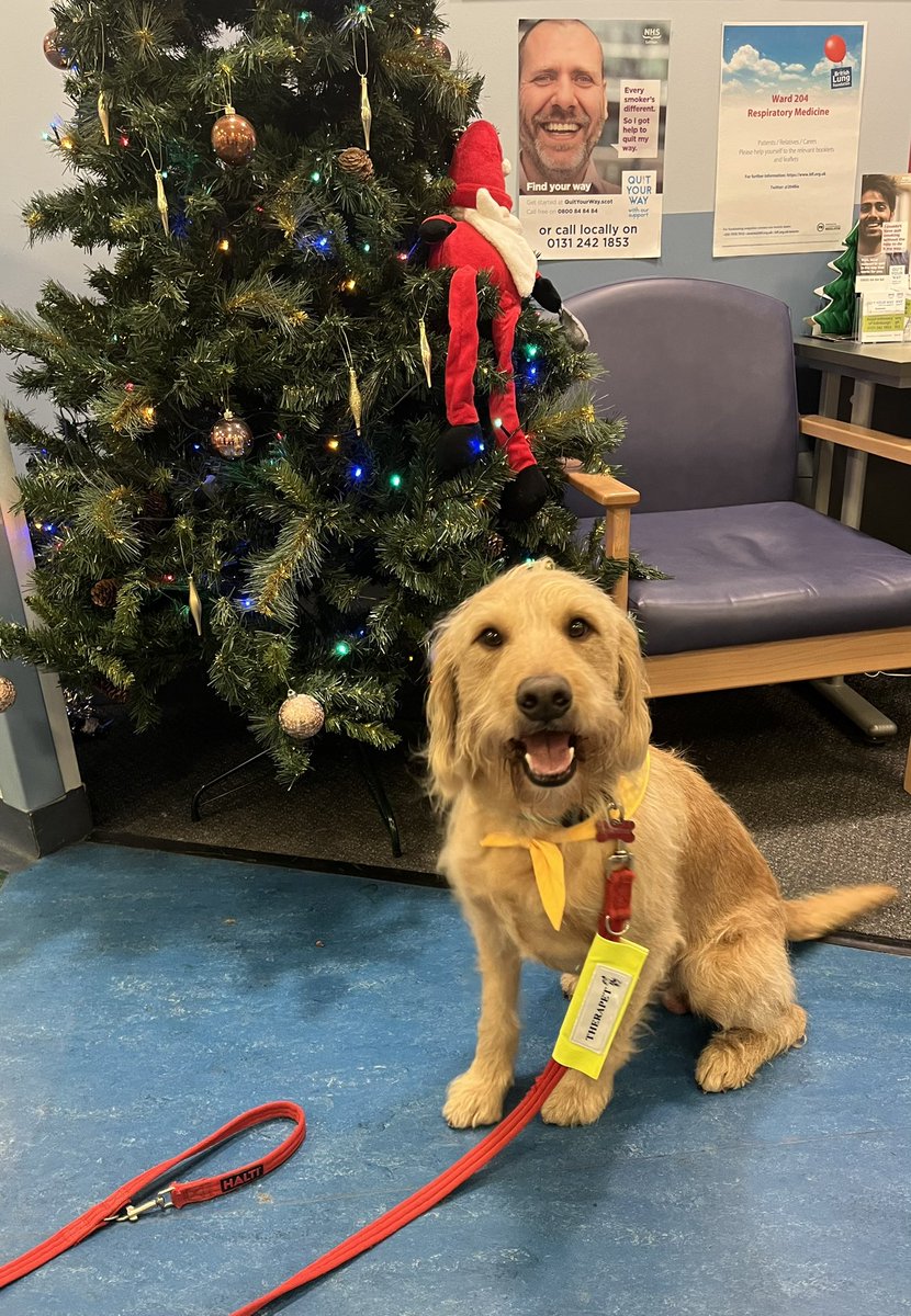 diane mccabe tweet media