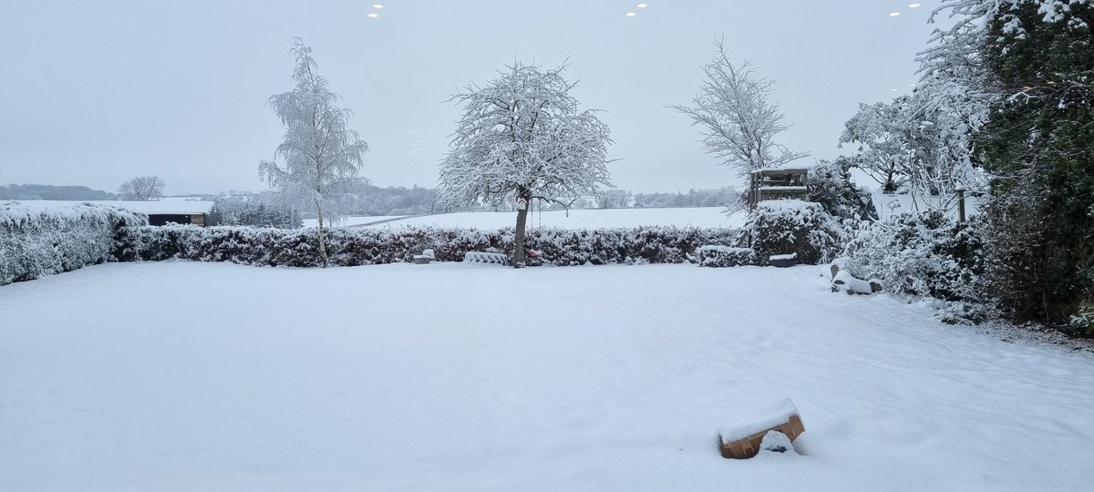 Well. That was unexpected. The garden looks so much better! #snowfall #snowday #snow
