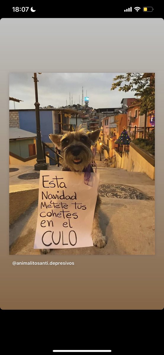 Diego gonzalez tweet media