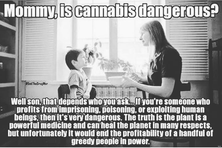 RickSimpsonComm's tweet image. Rick Simpson oil order now
Cancer cure
Cancer
Rso oil
👇👇👇👇👇👇

ricksimpsonoilstore.com