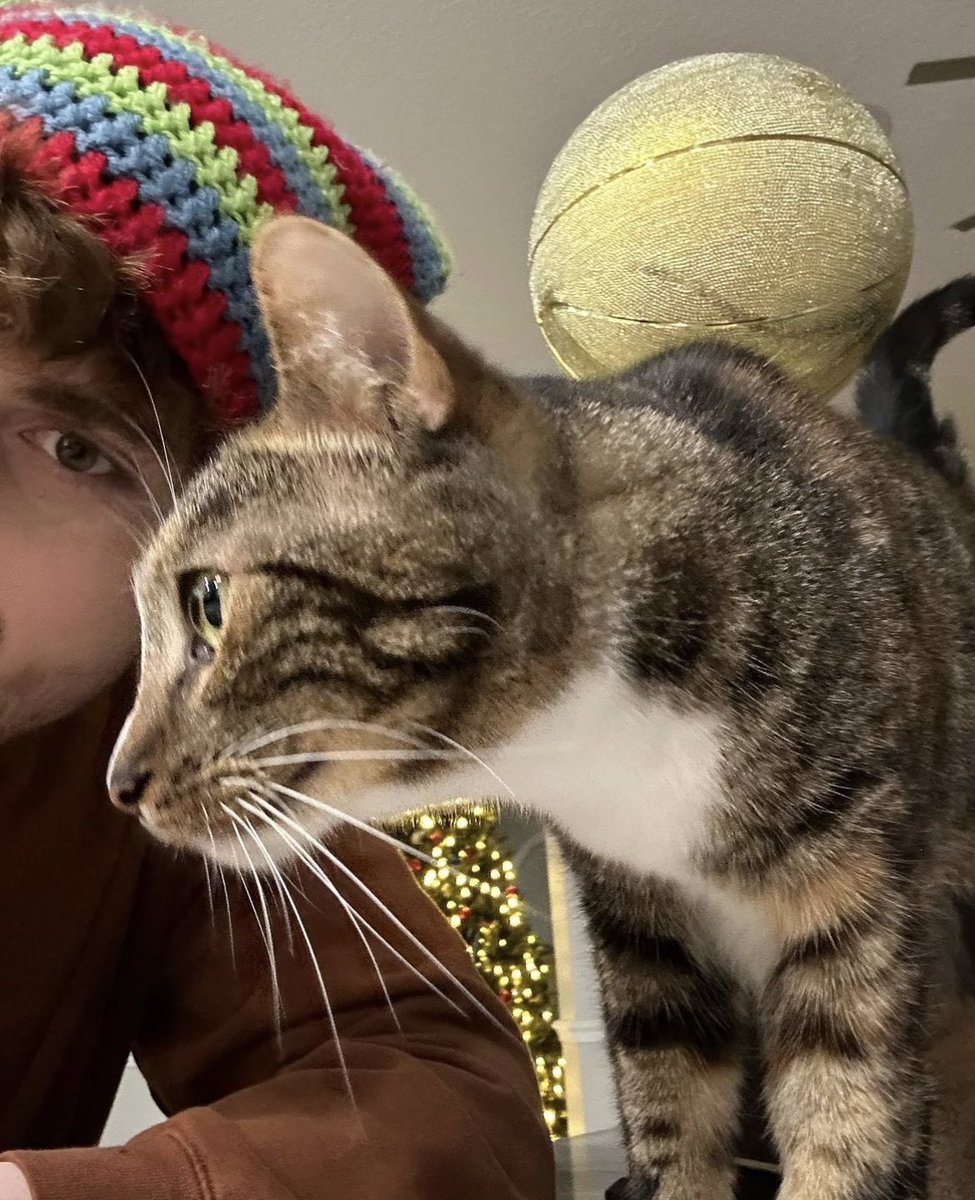 george and dream with their cats