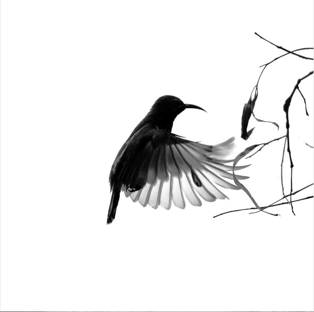 #ARTCRUSHOFTHEDAY <a href="/shazvtae/">부인 Yoonmin</a>