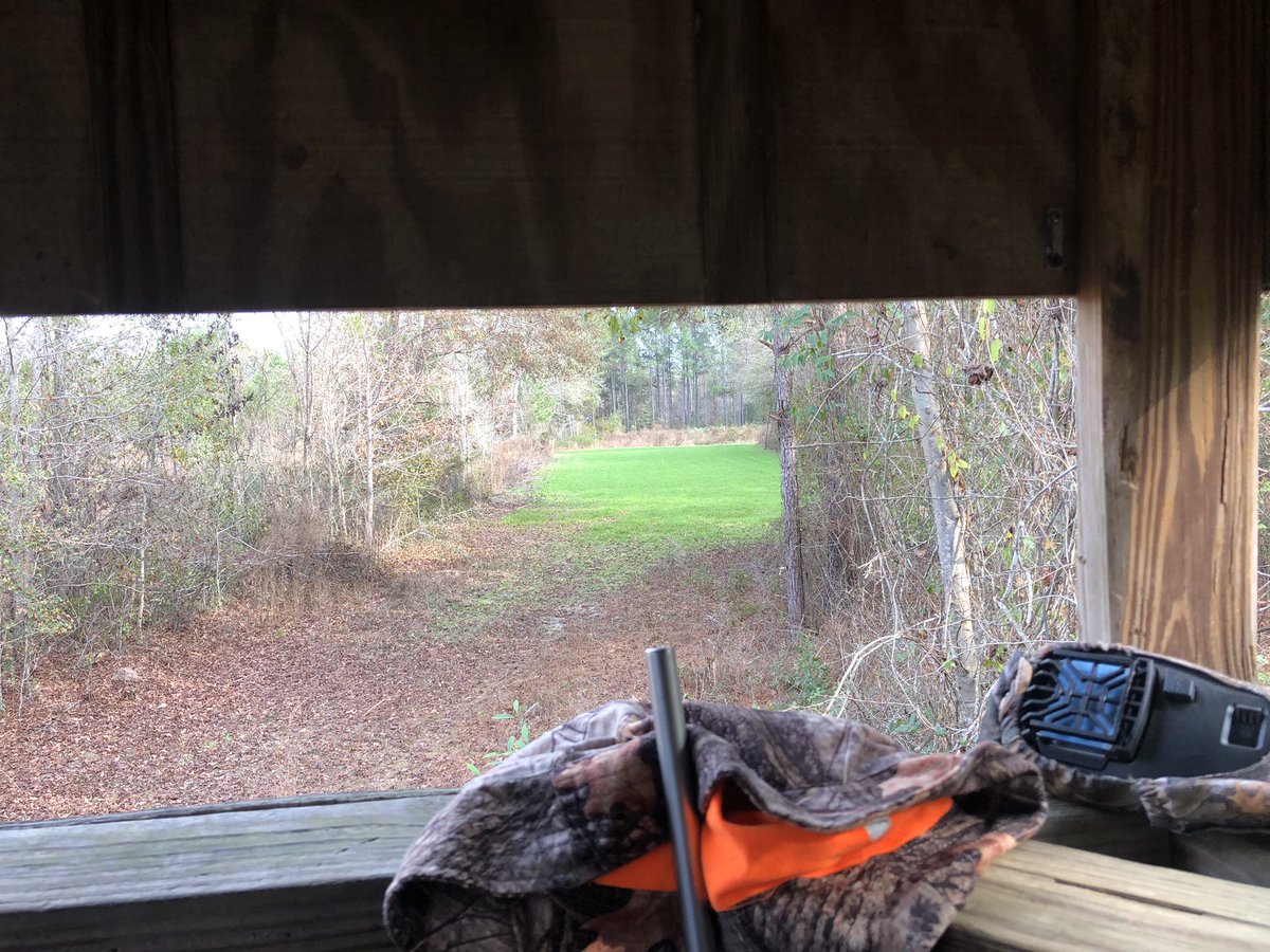 December #deerhunting in South Alabama #thermacell