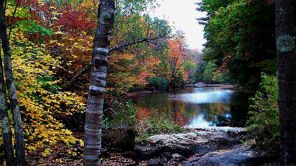mike breau (@breau_mike) on Twitter photo New artwork for sale! - "Little Androscoggin River" - fineartamerica.com/featured/littl… <a href="/fineartamerica/">Fine Art America</a> New artwork for sale! - "Little Androscoggin River" - fineartamerica.com/featured/littl… <a href="/fineartamerica/">Fine Art America</a>