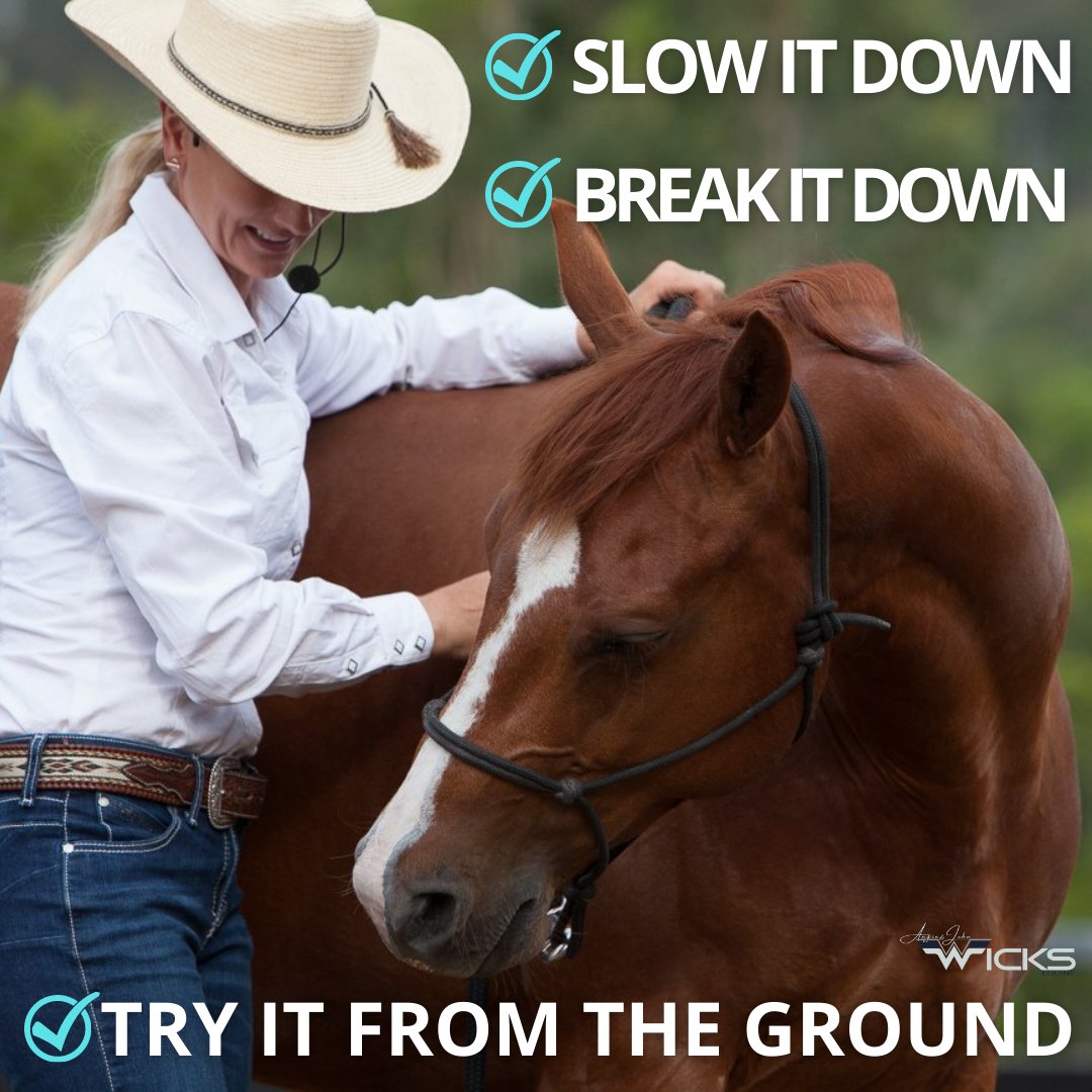 Good Morning Wednesday!
Don't forget to:
Slow it Down
Break it Down
& Try it from the Ground

Have an Awesome day! Angie & John🤠
#wicksequine #johnwicks #angiewicks