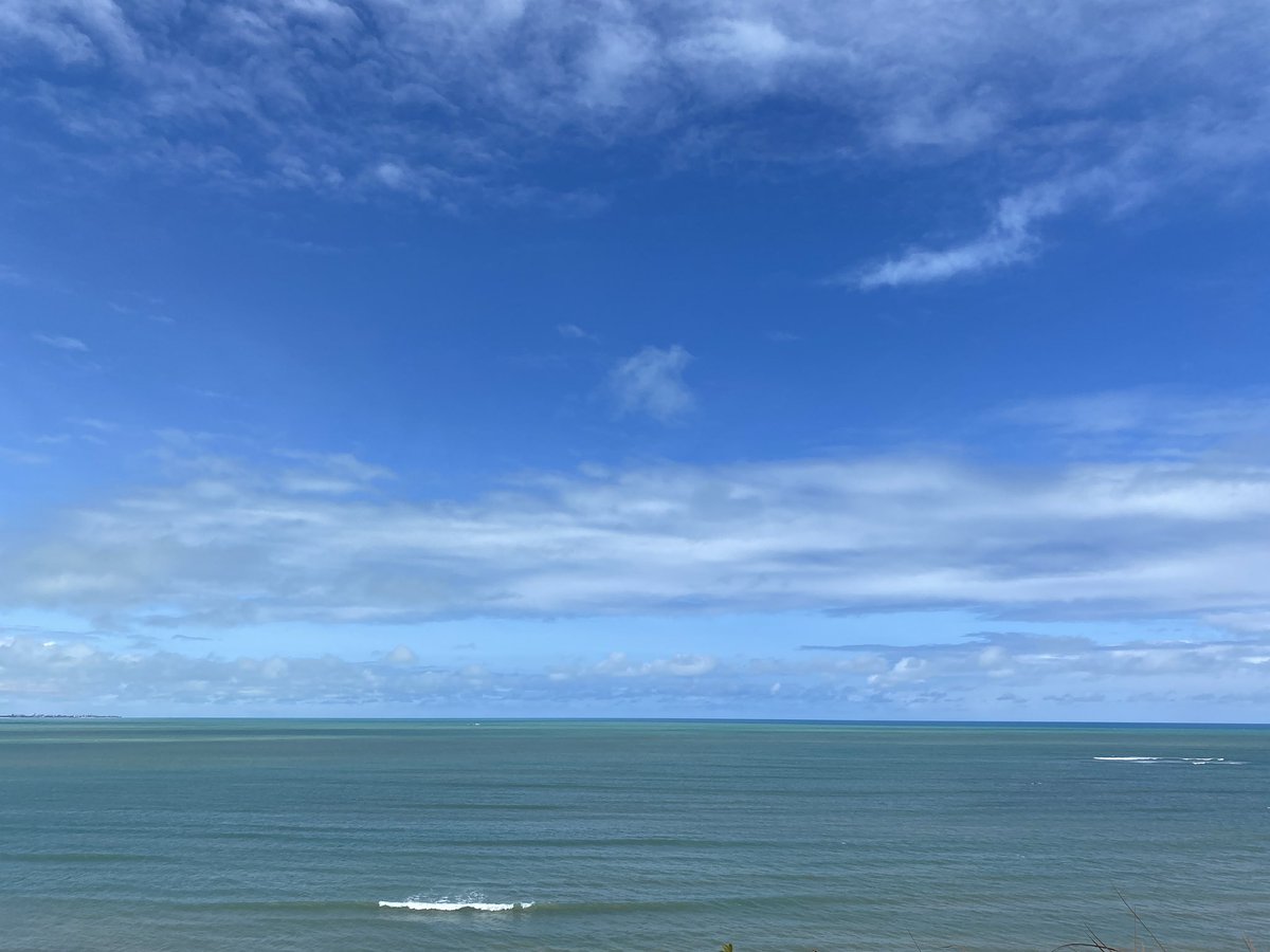 Jorge’s Chaotic Era Tour tweet media