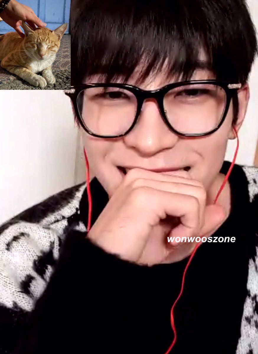 wonwoo pics on my phone tweet media