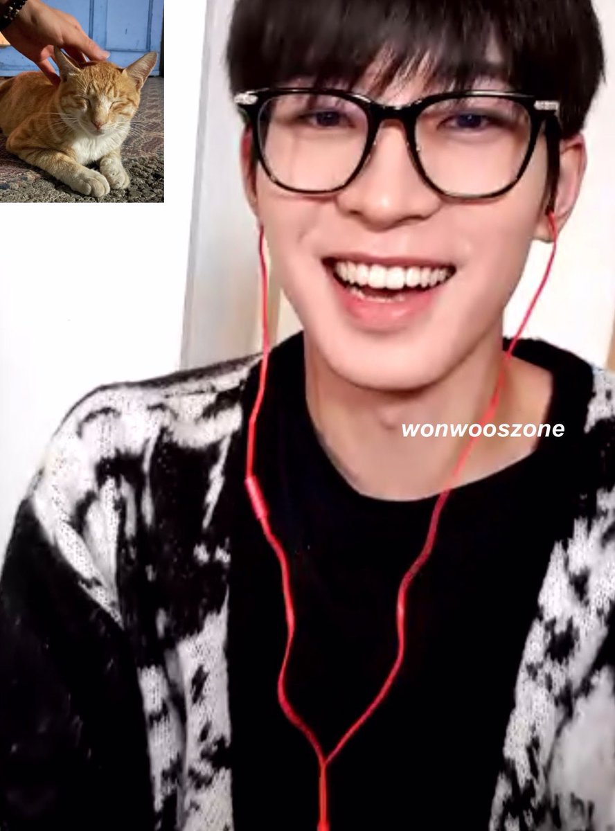 wonwoo pics on my phone tweet media