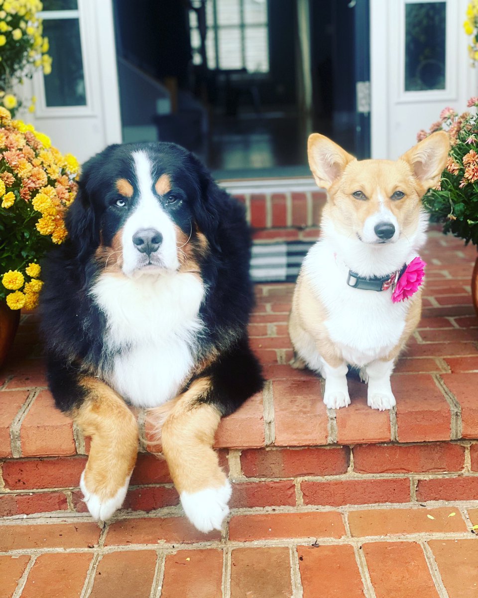 JAG17014's tweet photo. @NickAdamsinUSA Waylon and Dolly. https://t.co/ZWMnIbEQ4m