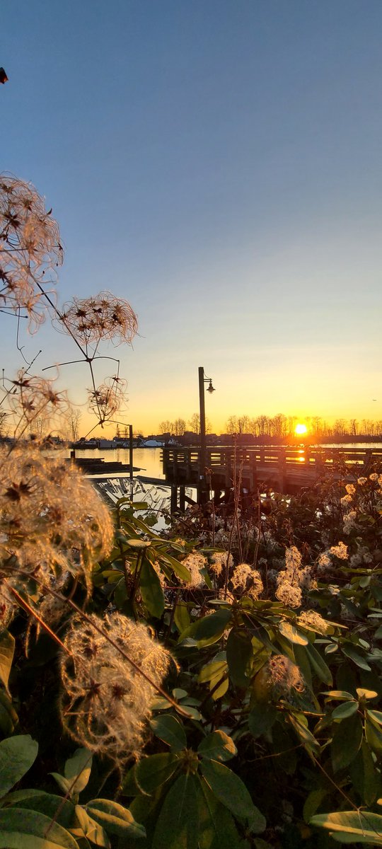 howyougo's tweet photo. Monday sunsetting
#sunsetting #Monday #sopretty #bcstorm #Vancouver #fraserriver #daysaregettingshorter #sunset #StormHour #mtbaker #December #Westcoast #meteorologistwinter #ShareYourWeather #snowberries https://t.co/8SCjx0LVA7