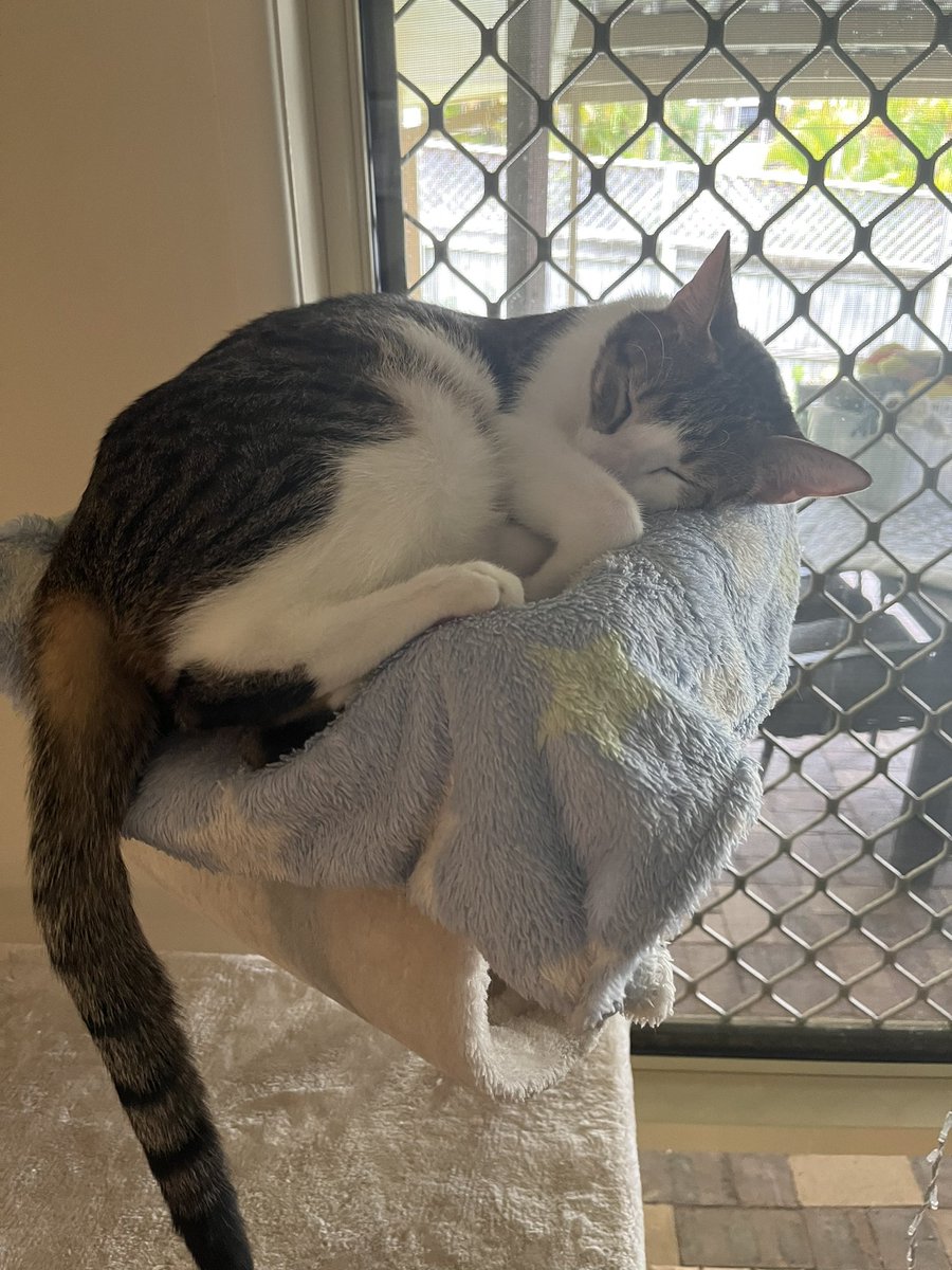 FulseNoom tweet media