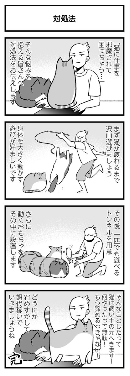 猫に仕事を邪魔されるときの対処法 #再放流の日 