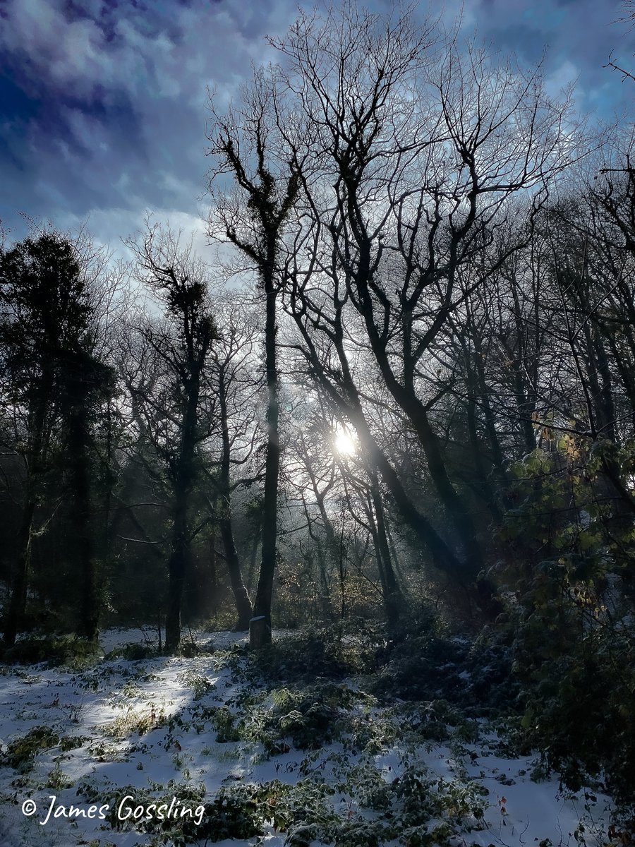 A Few from Todays walkabout