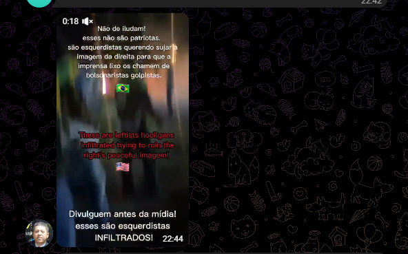 Metrópoles tweet media