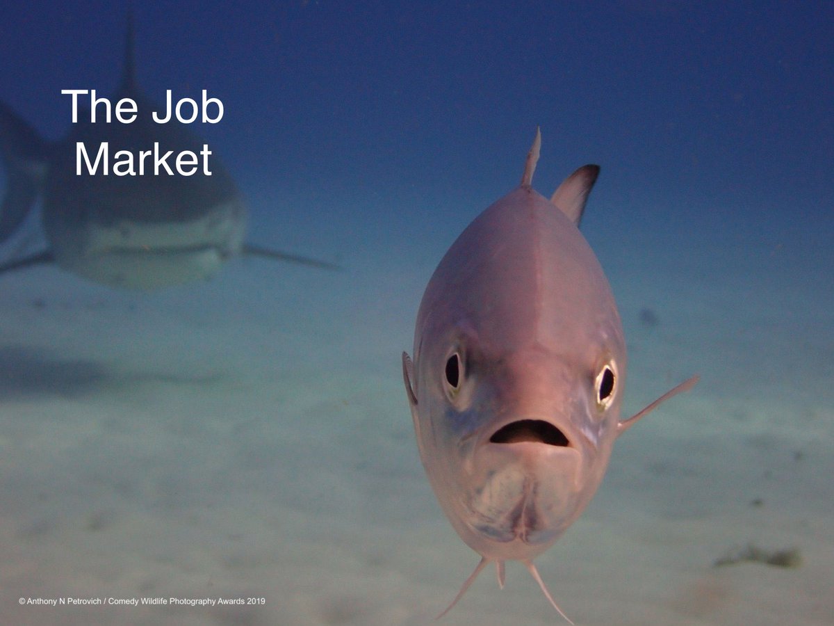 —Thank God, I’m done with prospectus…