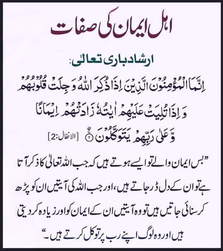 mujhaid e islam tweet media