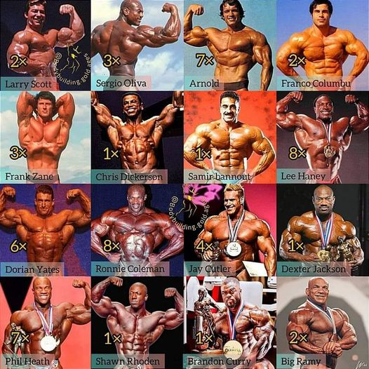 Rubén González on X: Vintage Bodybuilding 💪💪🔥🏋️‍♂️🤵‍♂️Road To Mr  Olympia 2022👑🏆🤴🏅 #bodybuilding #Bodybuilders #olympia2022 A complete  line up of Olympia winners. Who was your favourite and why?   / X