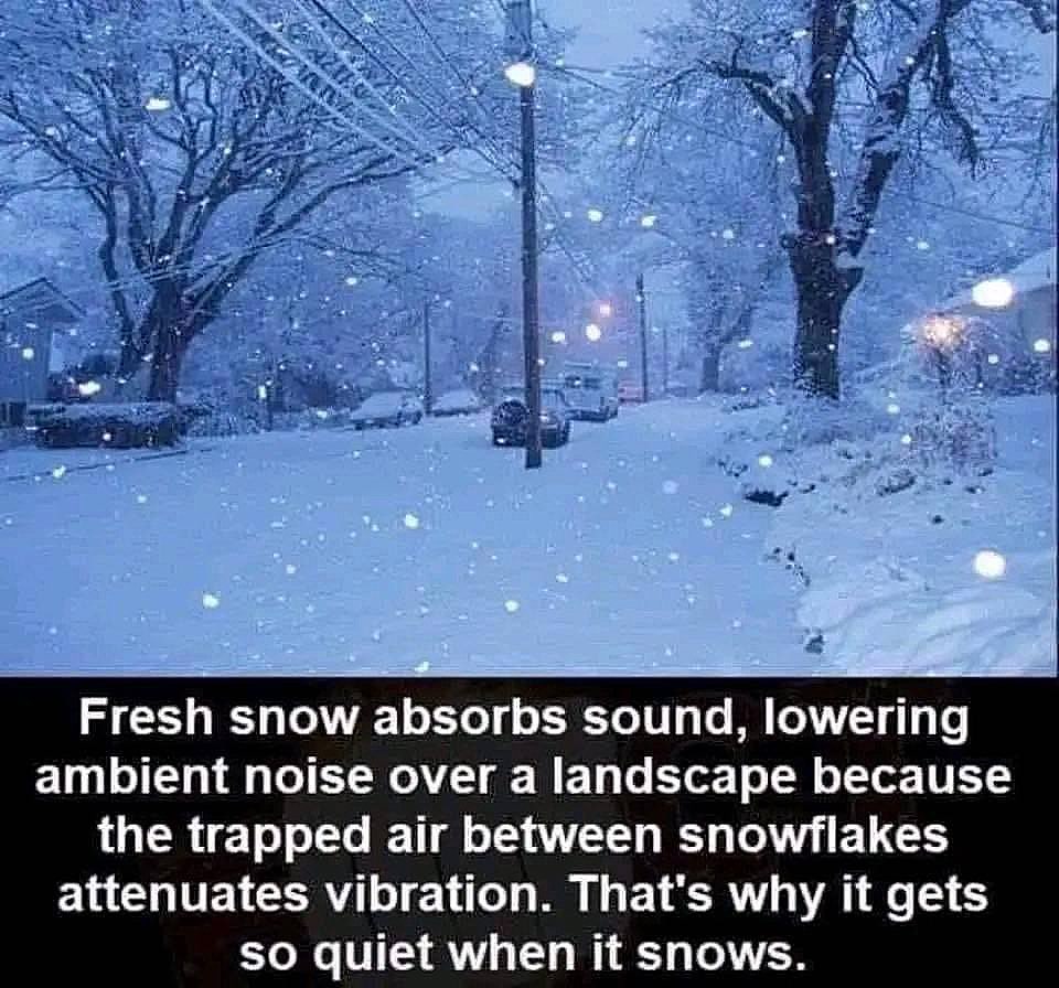 I was today years old when I learned this.