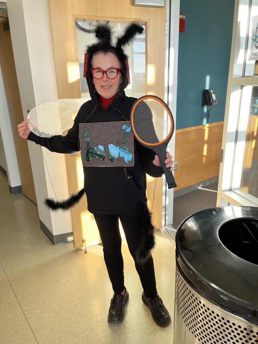 Real Houseflies of Brandeis tweet media