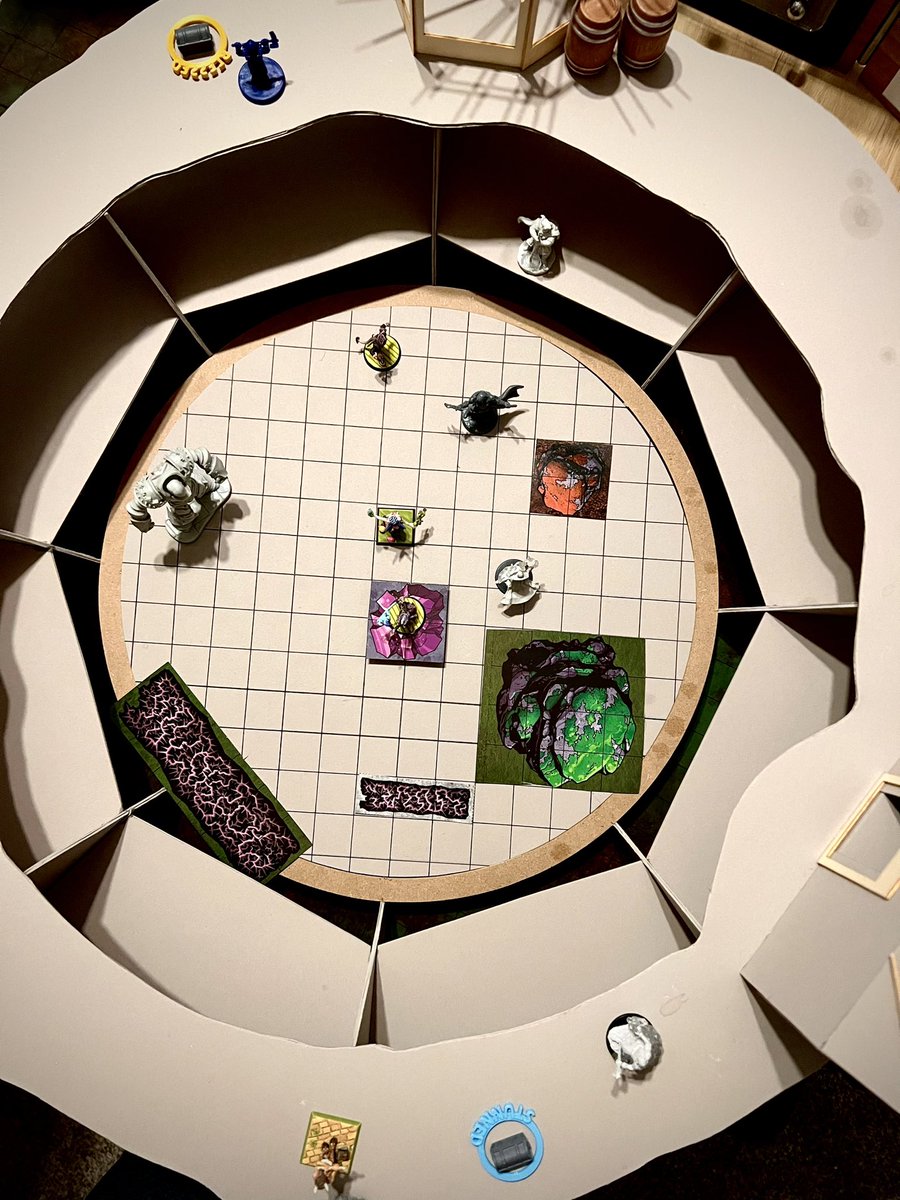 Lizards and Locations tweet media