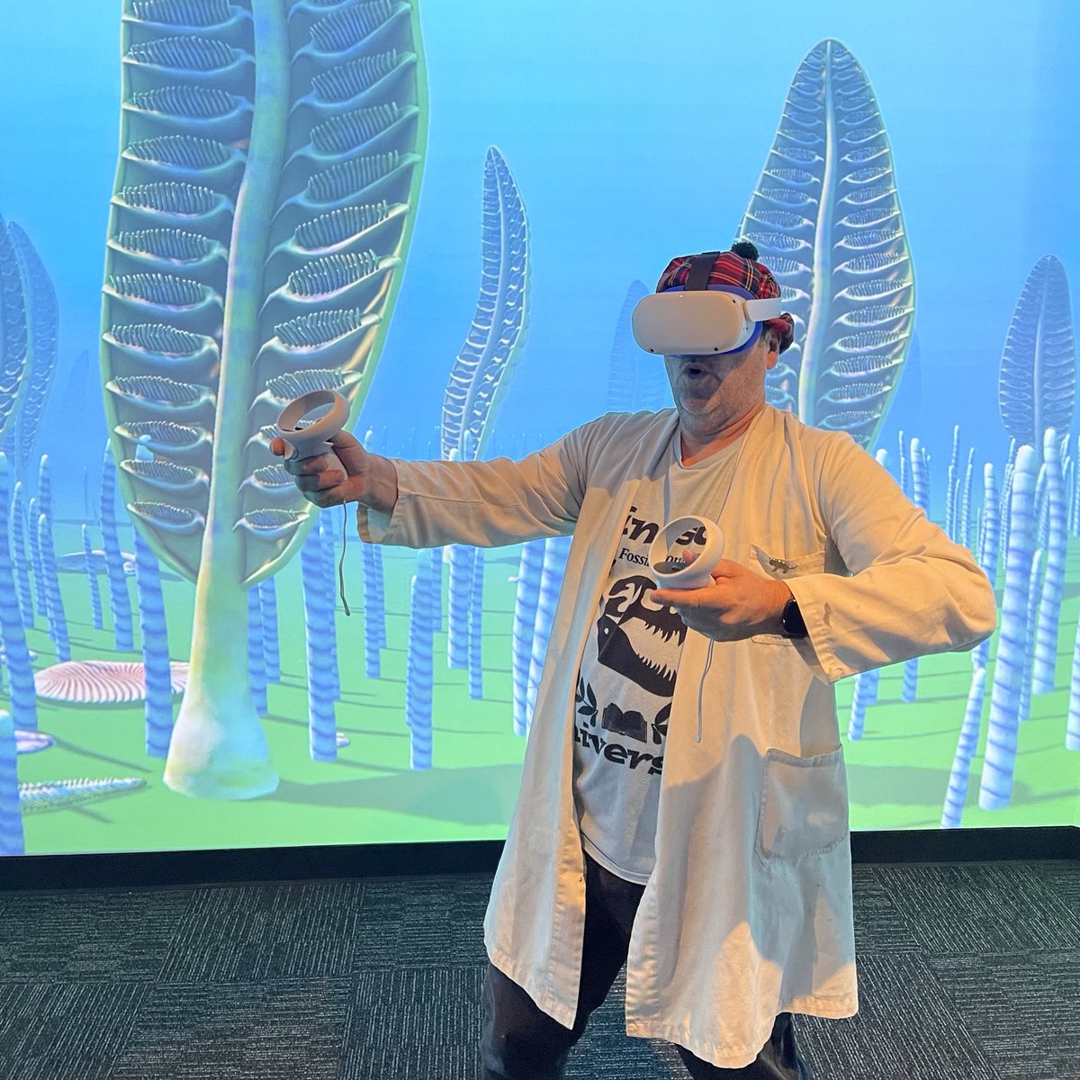 Tom Raimondo tweet media