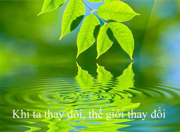 💙,🧡Follow Chéo cùng mình nha mọi người❤️
💙,🧡Trả lại uy tín 100% ❤️🌿