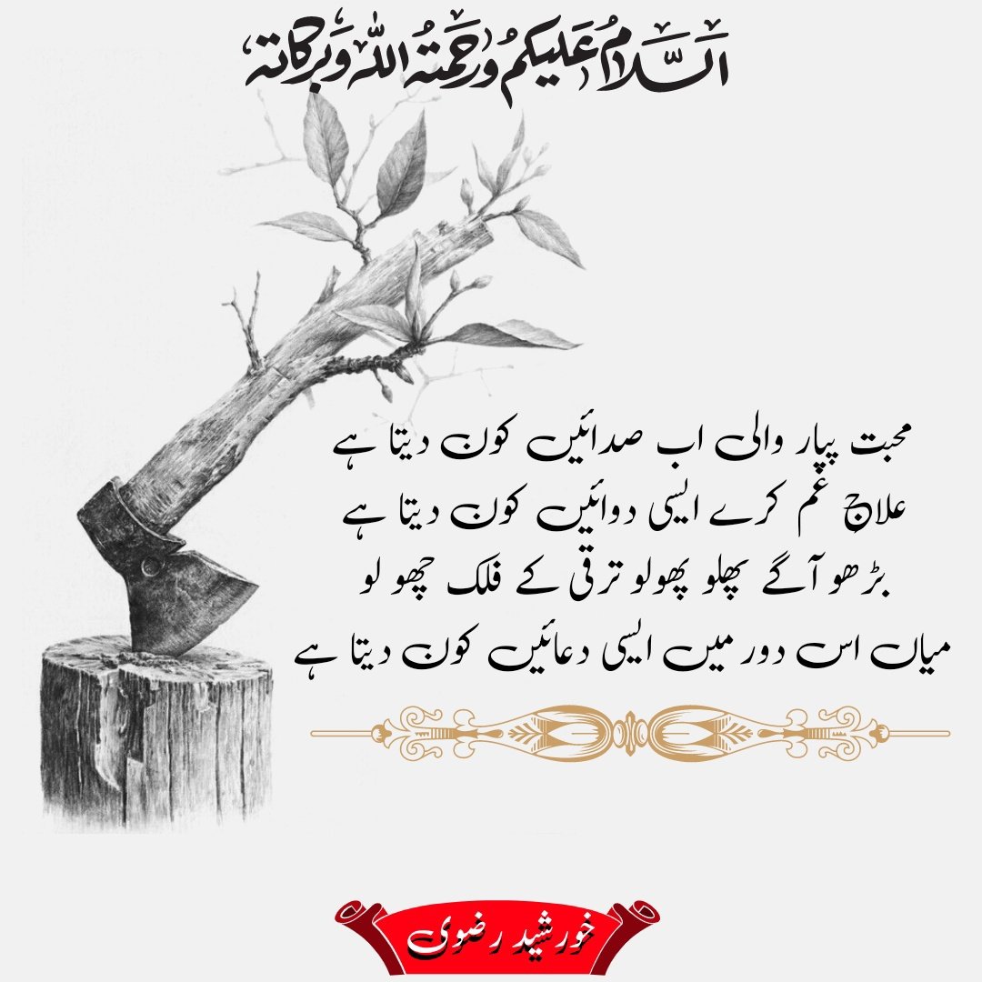 💚Khurshid Razvi💚 (@razvi_khurshid) on Twitter photo پچتائیں گے اک روز کڑی دھوپ پڑی تو
جو لوگ محبت کے شجر کاٹ رہے ہیں
#MissionAhleSunnat
<a href="/OfficialAsunnat/">مشن اہلِسنت Mission Ahle Sunnat</a>
#رضوی پچتائیں گے اک روز کڑی دھوپ پڑی تو
جو لوگ محبت کے شجر کاٹ رہے ہیں
#MissionAhleSunnat
<a href="/OfficialAsunnat/">مشن اہلِسنت Mission Ahle Sunnat</a>
#رضوی