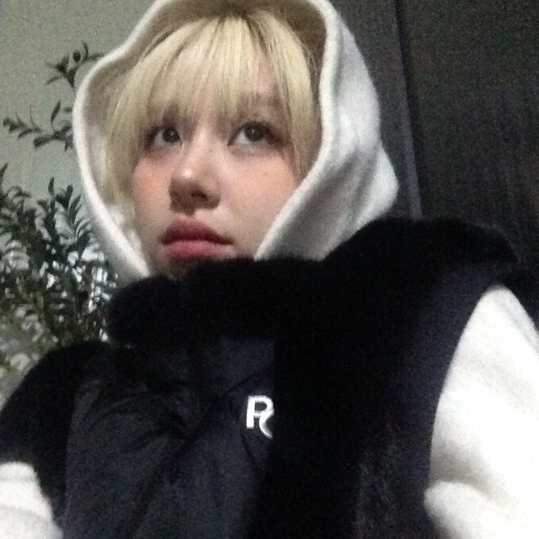 🎄🎊 tweet media