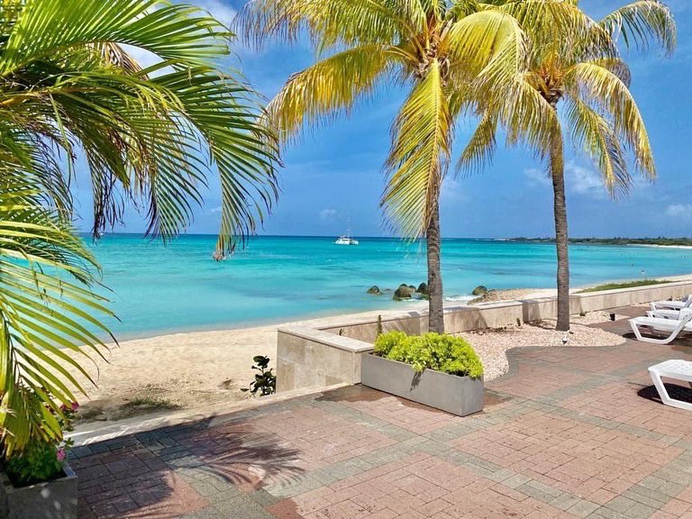 Happy_Rentals's tweet photo. Imagine waking up to these views on Christmas day.🤩
Our Stunning and Amazing Arashi Ocean front Villa is now available for your Christmas magical stay in Aruba! From December 14 - 27 2022. It sleeps 8.With 4 bedrooms - 
US$ 1100 per night.

Take a look:
https://t.co/MXjA8ayi6O https://t.co/5A2aB2z1gq