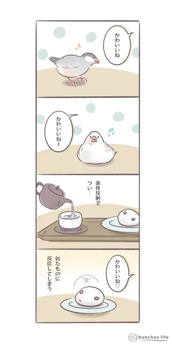 似たものに「かわいいね」と声をかけてしまう
#文鳥 
#bunchoslife 
#4コマ漫画 