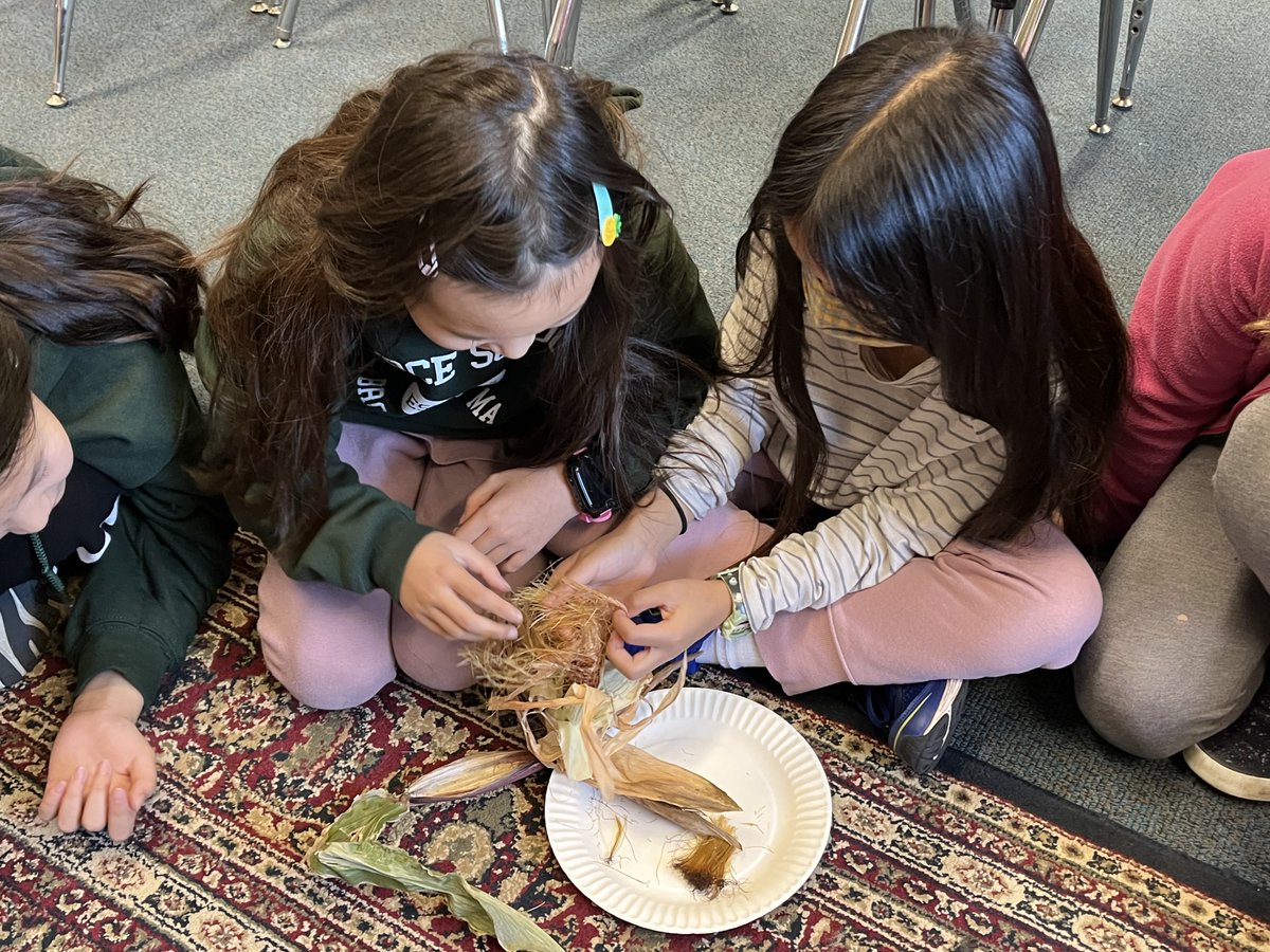 We had a great crop of Calico heirloom popping corn, from our Native American-inspired Three Sisters garden (corn, beans and squash). Some of the fifth graders who harvested the corn, had planted it last spring as fourth graders. #microwave popcorn